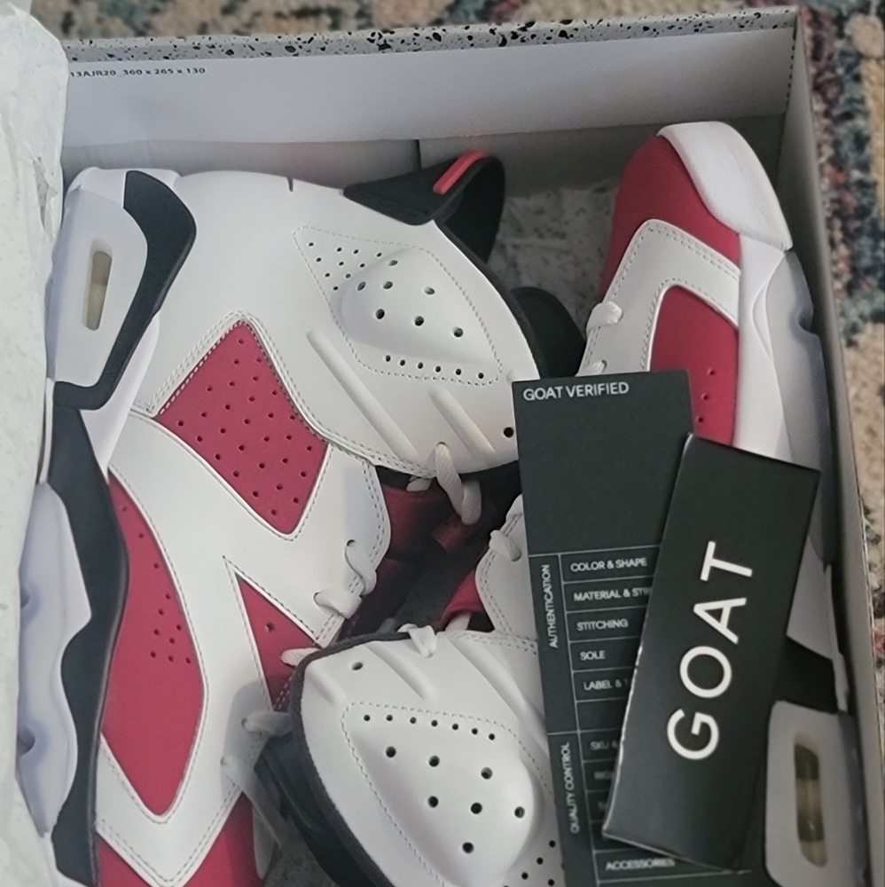 Air Jordan 6 "Carmine"